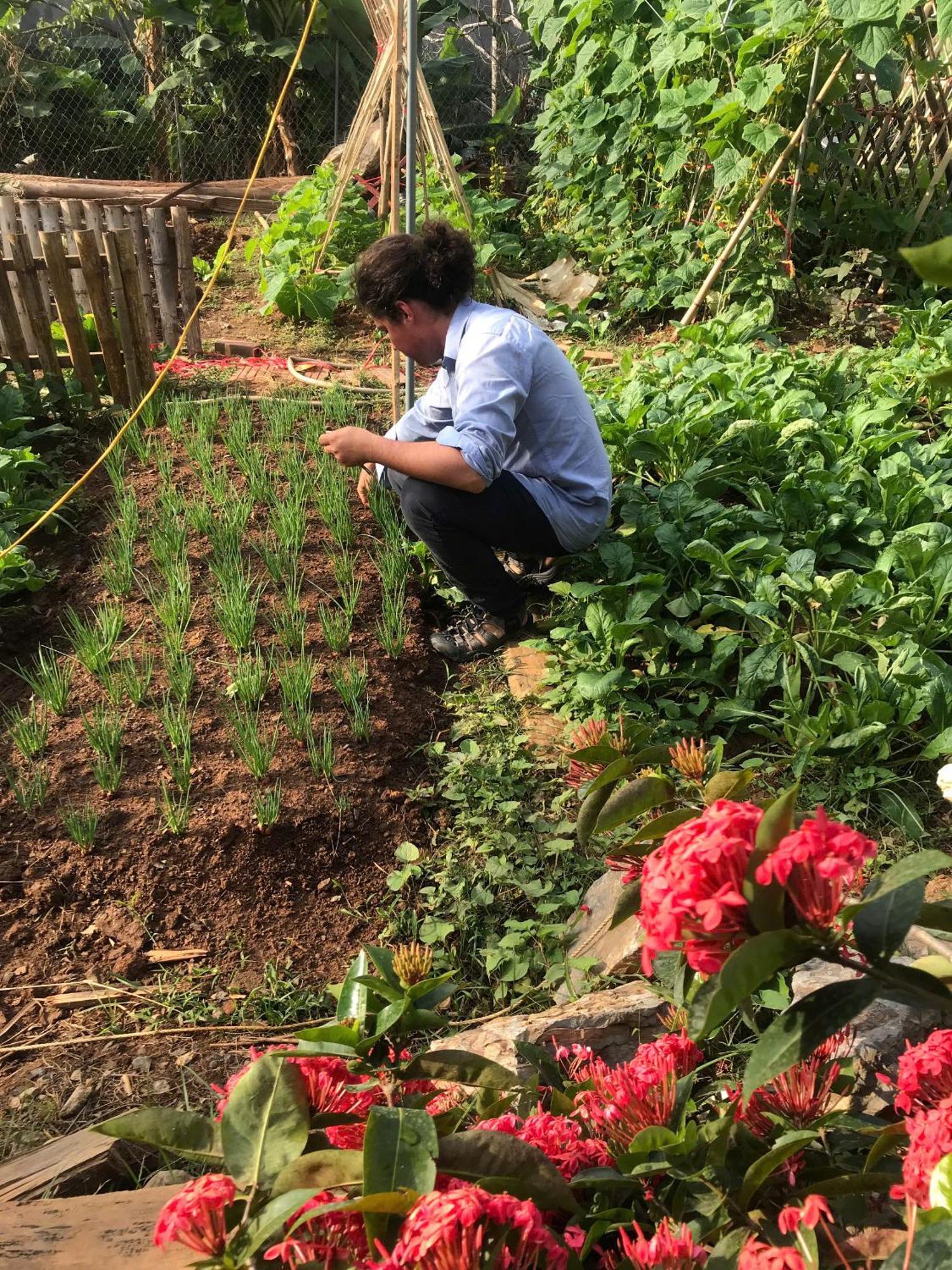Bee Lucky Homestay Hien Hao Zewnętrze zdjęcie