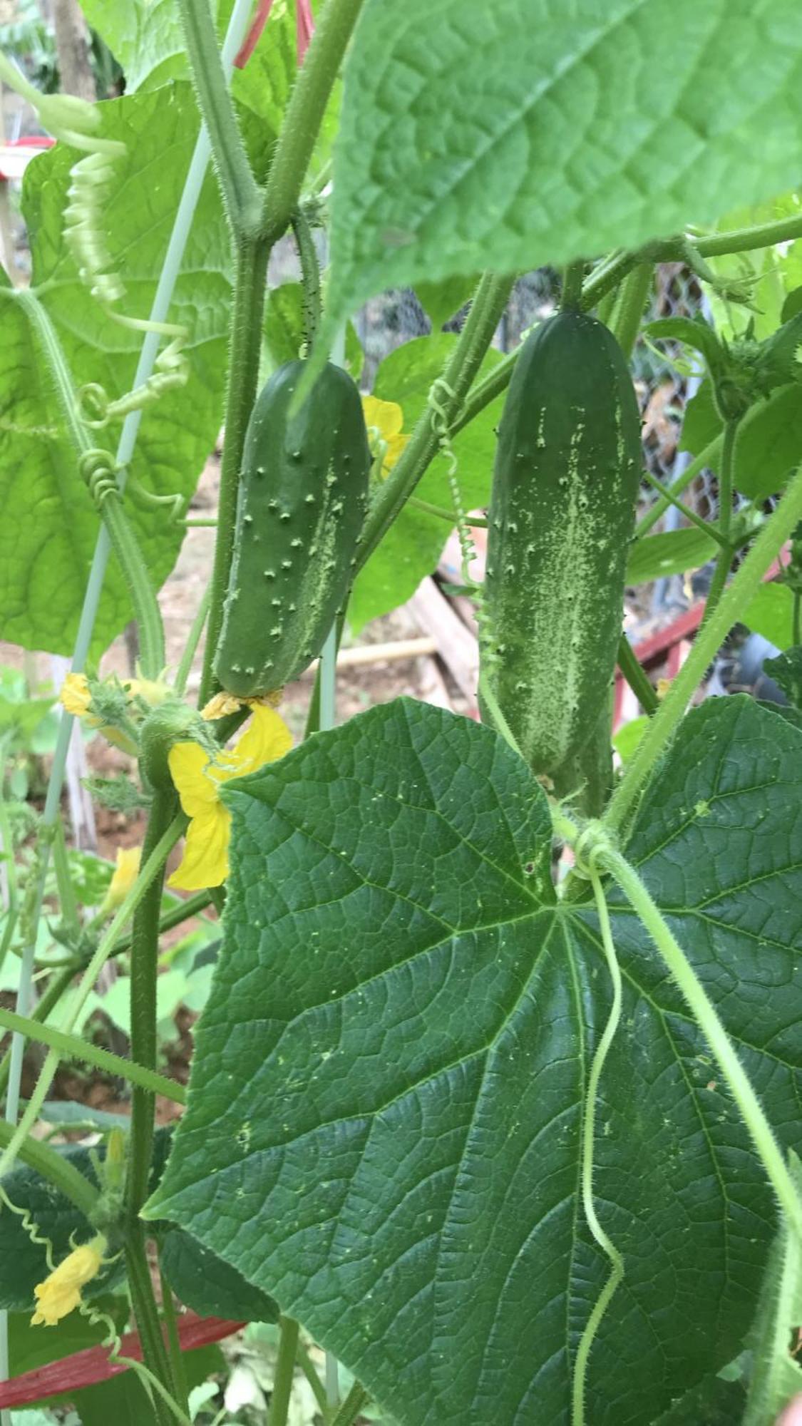 Bee Lucky Homestay Hien Hao Zewnętrze zdjęcie