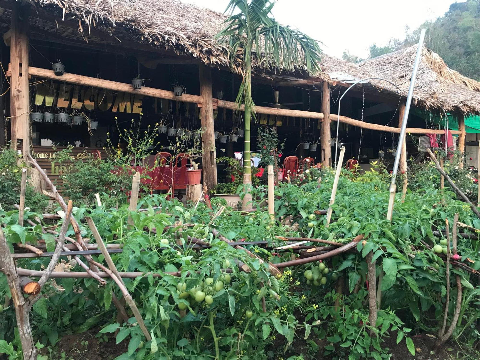 Bee Lucky Homestay Hien Hao Zewnętrze zdjęcie