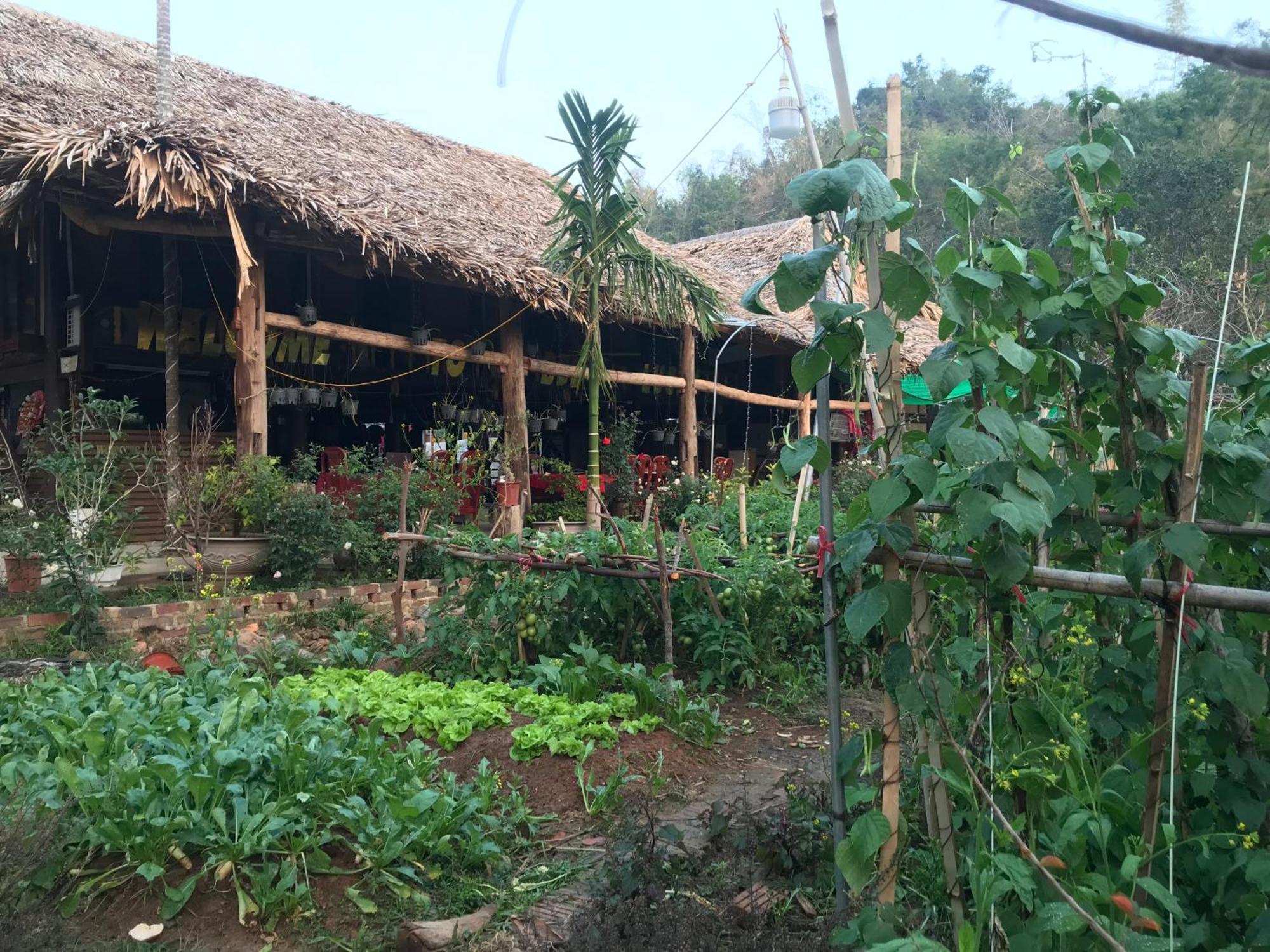 Bee Lucky Homestay Hien Hao Zewnętrze zdjęcie