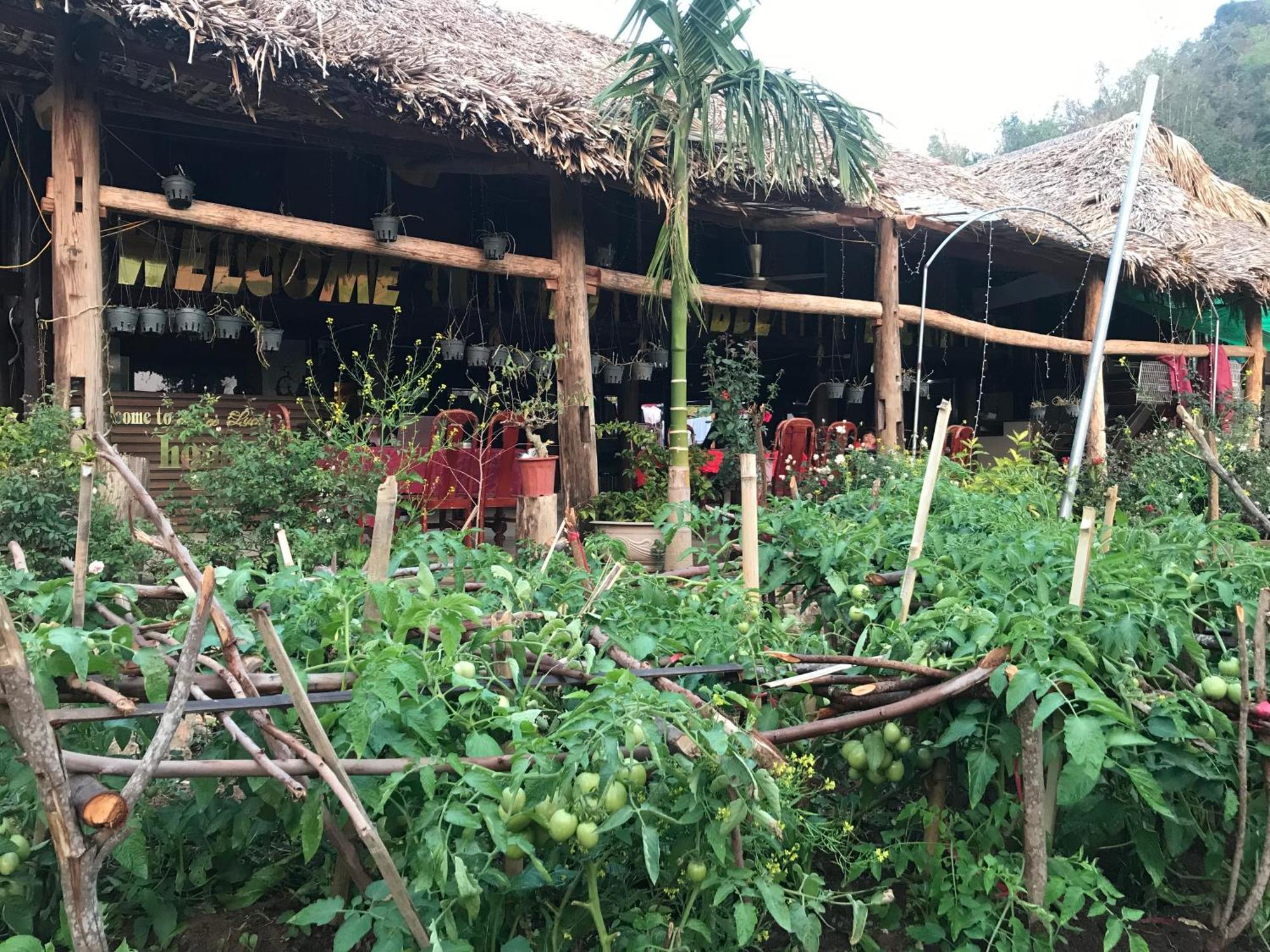 Bee Lucky Homestay Hien Hao Zewnętrze zdjęcie